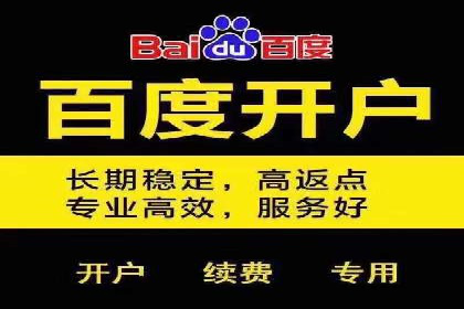 百度竞价排名案例分析：提升网站流量与转化率